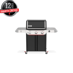 Genesis E-335 WEBER WORKS...