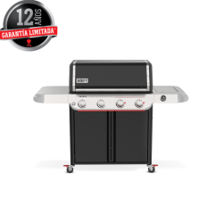 Genesis E-425 WEBER WORKS...