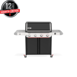 Genesis® E-435 WEBER WORKS...